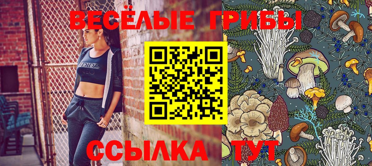 сколько стоит  Приморско-Ахтарск  Галлюциногенные грибы ЛСД 