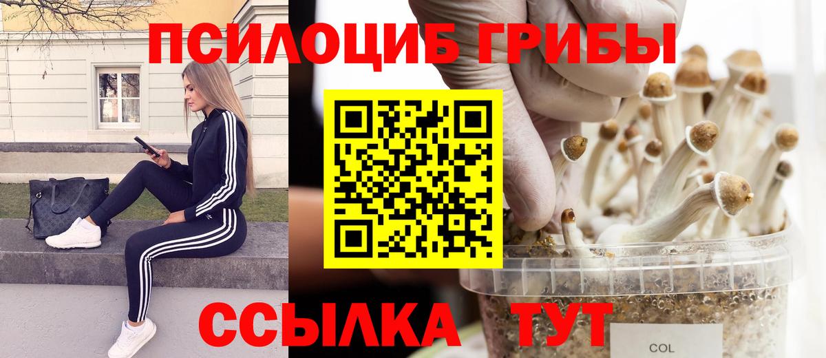Галлюциногенные грибы мухоморы  цена   Вход с VPN  Приморско-Ахтарск  Галлюциногенные грибы Psilocybe 
